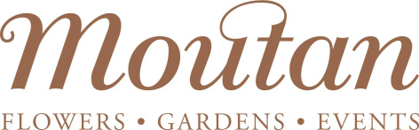 logo_correct_20pc