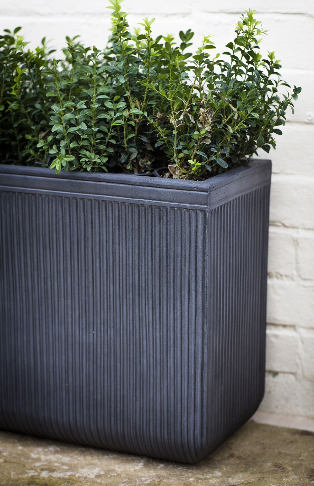 Set of 2 Bathford Rectangular Planters - Image 2