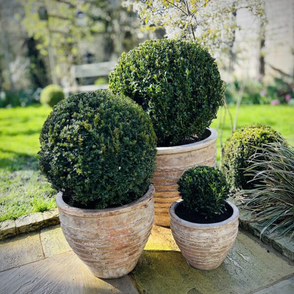 Kefalonia Terracotta Planters