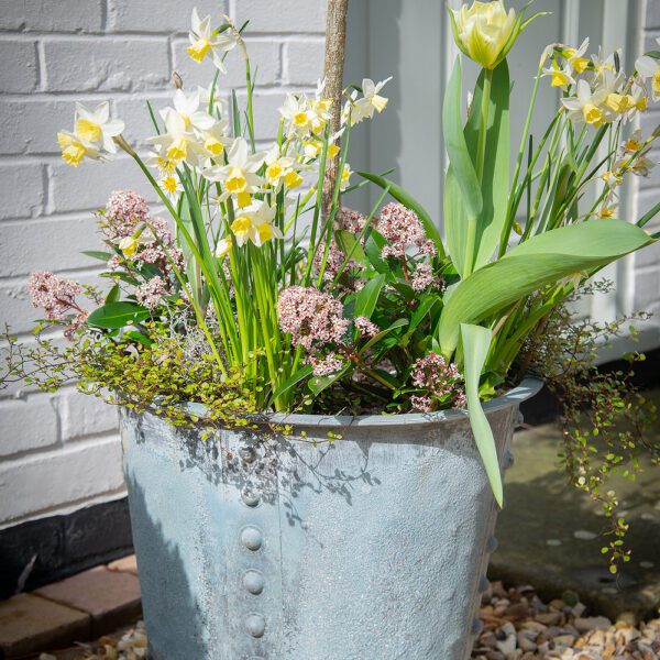 Studded Patina Iron Planter