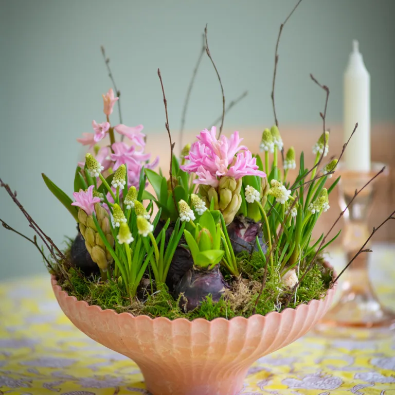 Spring Bulb Planter