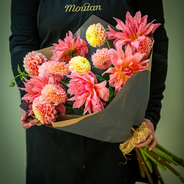 Bunch of Dahlia