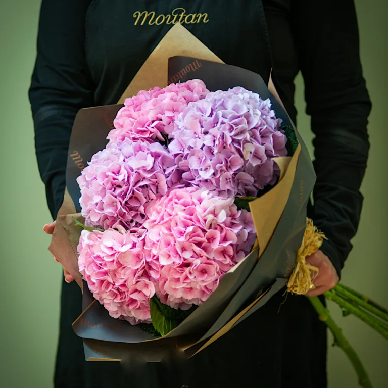 Bunch of Hydrangea