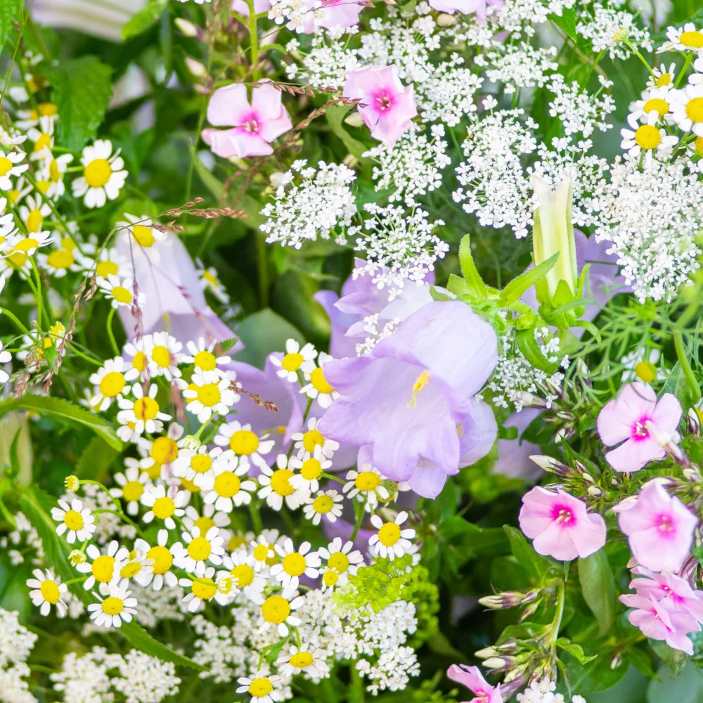 Bramley Botanical Bouquet - Image 4