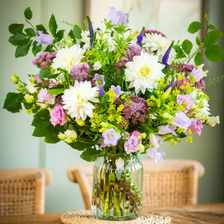 Provence - Florist Choice