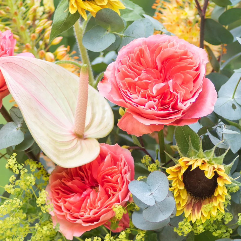 Soleil - Bouquet of the Month - Image 2