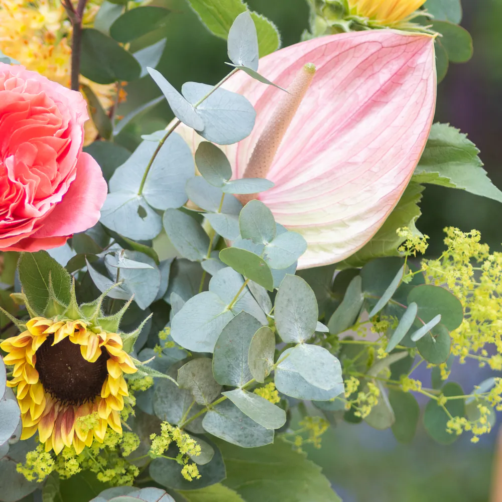 Soleil - Bouquet of the Month - Image 4