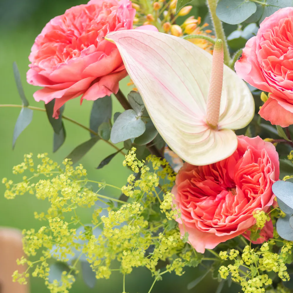 Soleil - Bouquet of the Month - Image 3